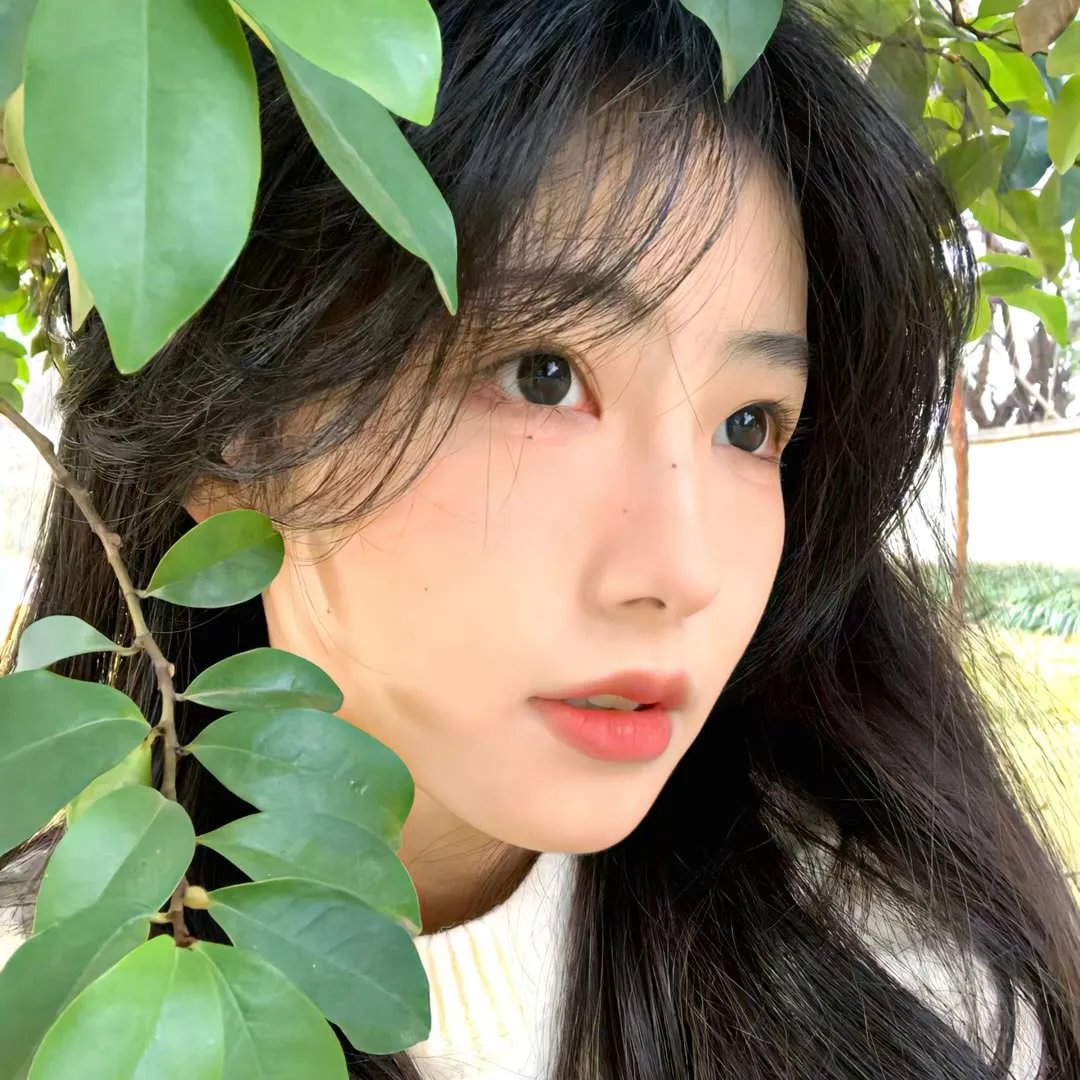 女人世上